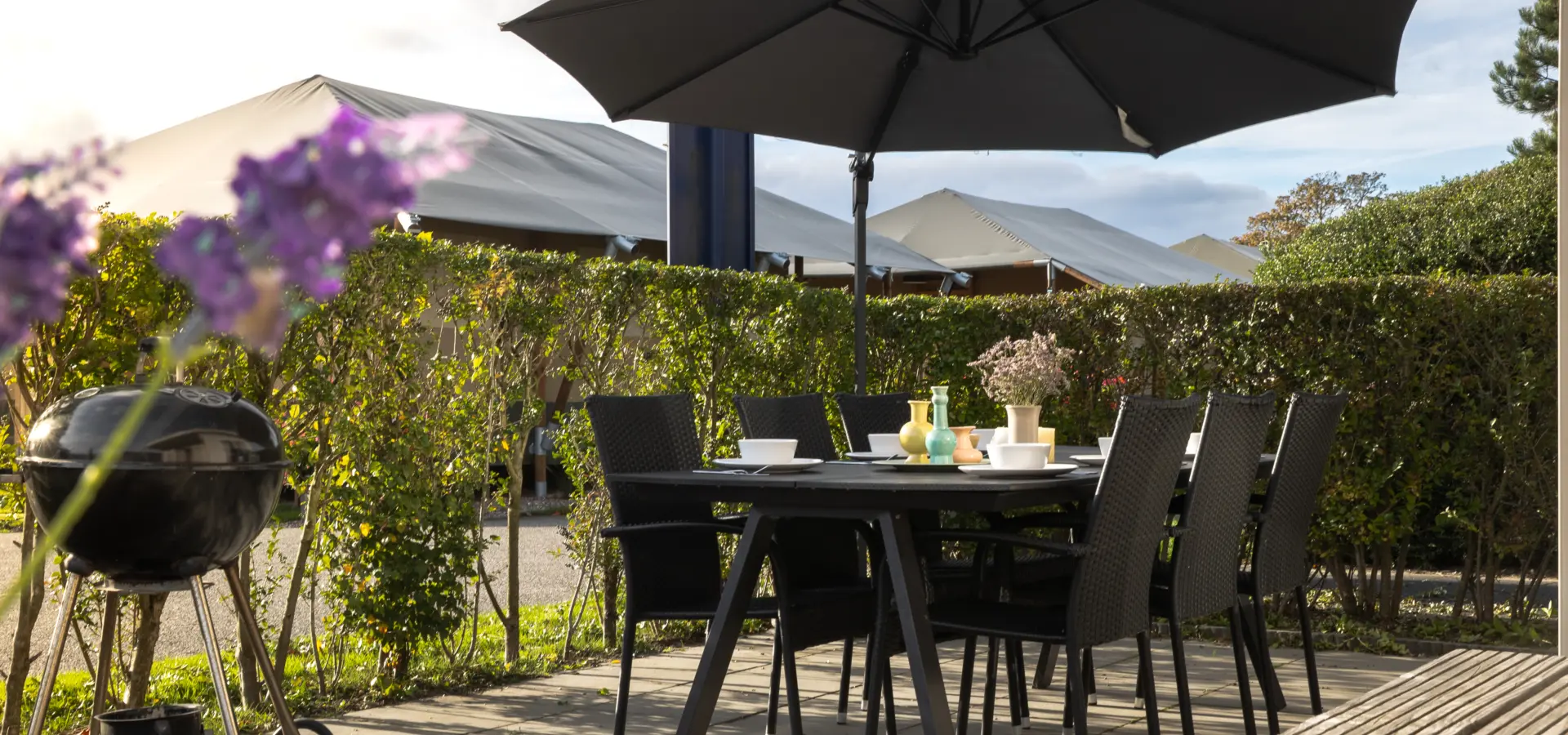 Terras