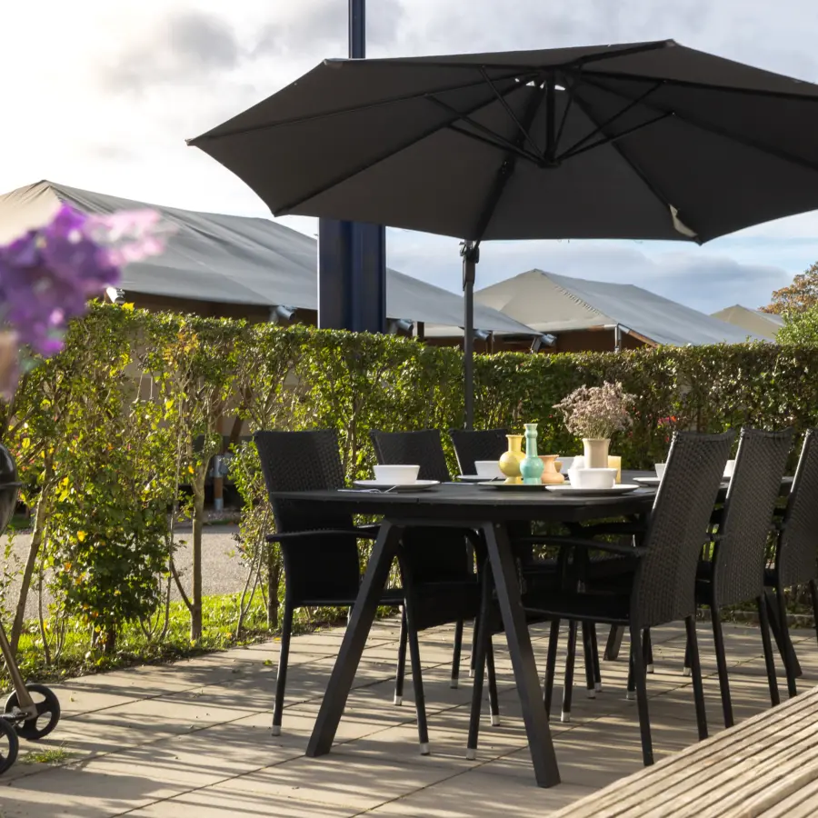Terras