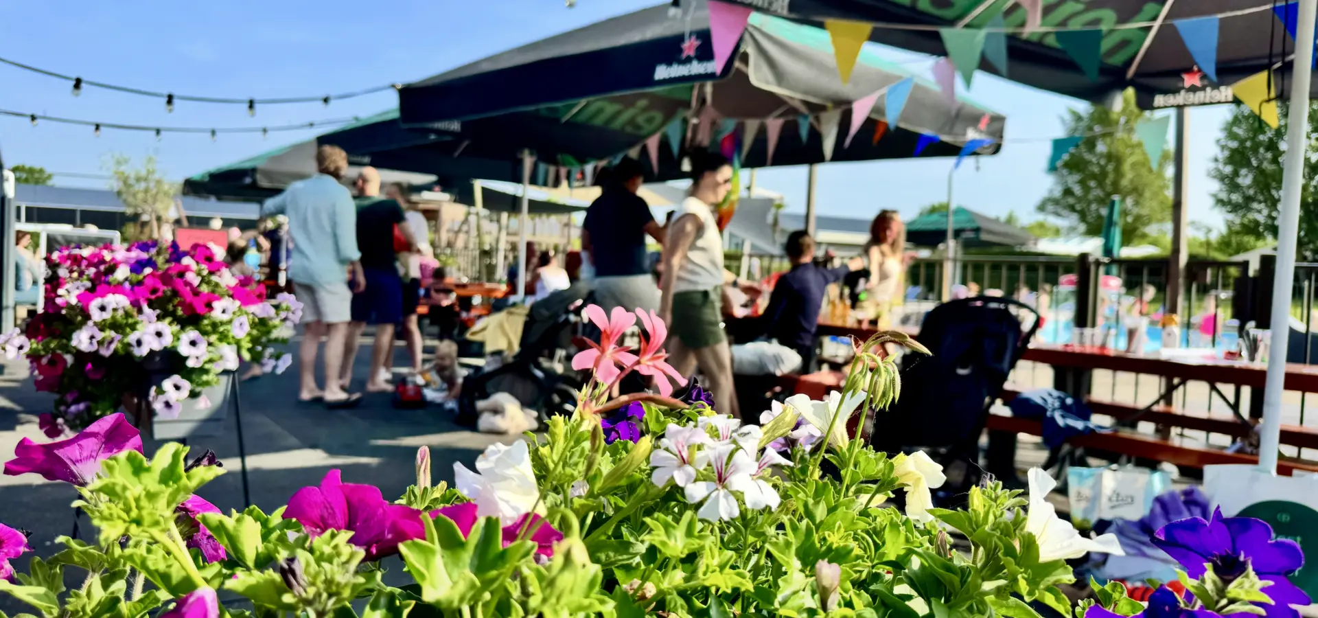 Schermafbeelding 2025 07 12 om 11 37 29