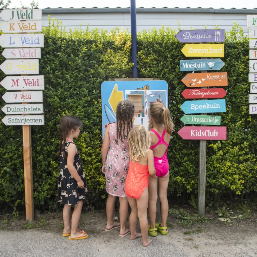 Sfeer park Camping de molenhoek 2022 Dubbeldwars 51